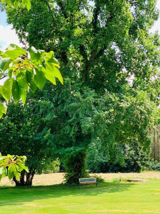 Jagdschloss Walkenried Eksteriør bilde